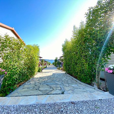 Mobile Homes Kamp Maslina, Biograd Na Moru Εξωτερικό φωτογραφία
