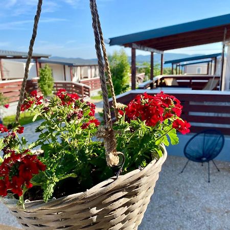 Mobile Homes Kamp Maslina, Biograd Na Moru Εξωτερικό φωτογραφία