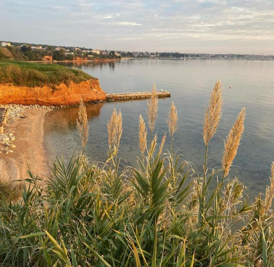 Mobile Homes Kamp Maslina, Biograd Na Moru Εξωτερικό φωτογραφία