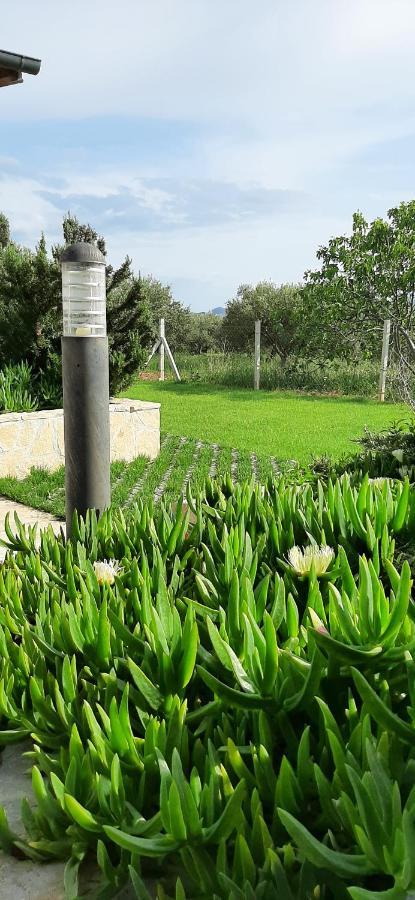 Mobile Homes Kamp Maslina, Biograd Na Moru Εξωτερικό φωτογραφία