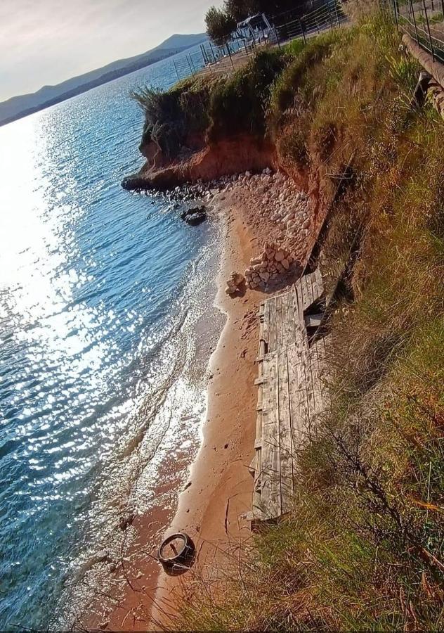 Mobile Homes Kamp Maslina, Biograd Na Moru Εξωτερικό φωτογραφία