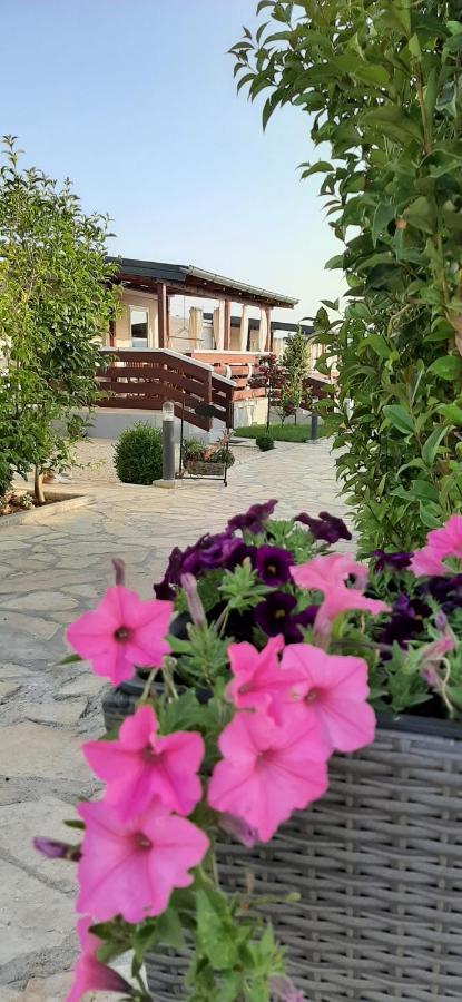 Mobile Homes Kamp Maslina, Biograd Na Moru Εξωτερικό φωτογραφία
