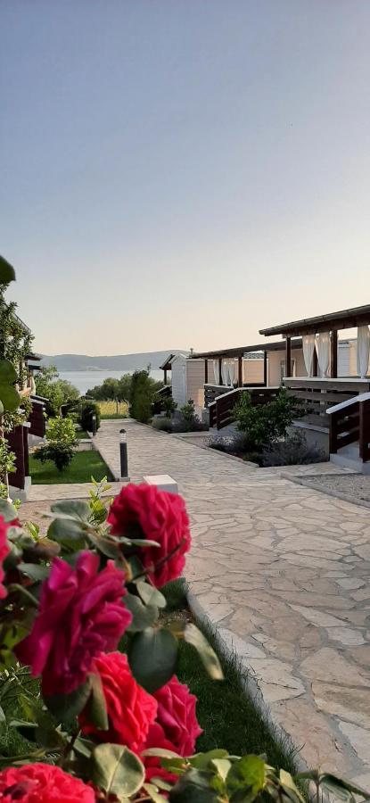 Mobile Homes Kamp Maslina, Biograd Na Moru Εξωτερικό φωτογραφία