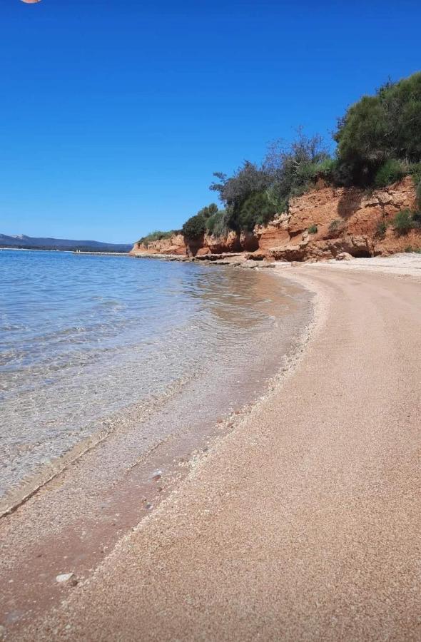 Mobile Homes Kamp Maslina, Biograd Na Moru Εξωτερικό φωτογραφία
