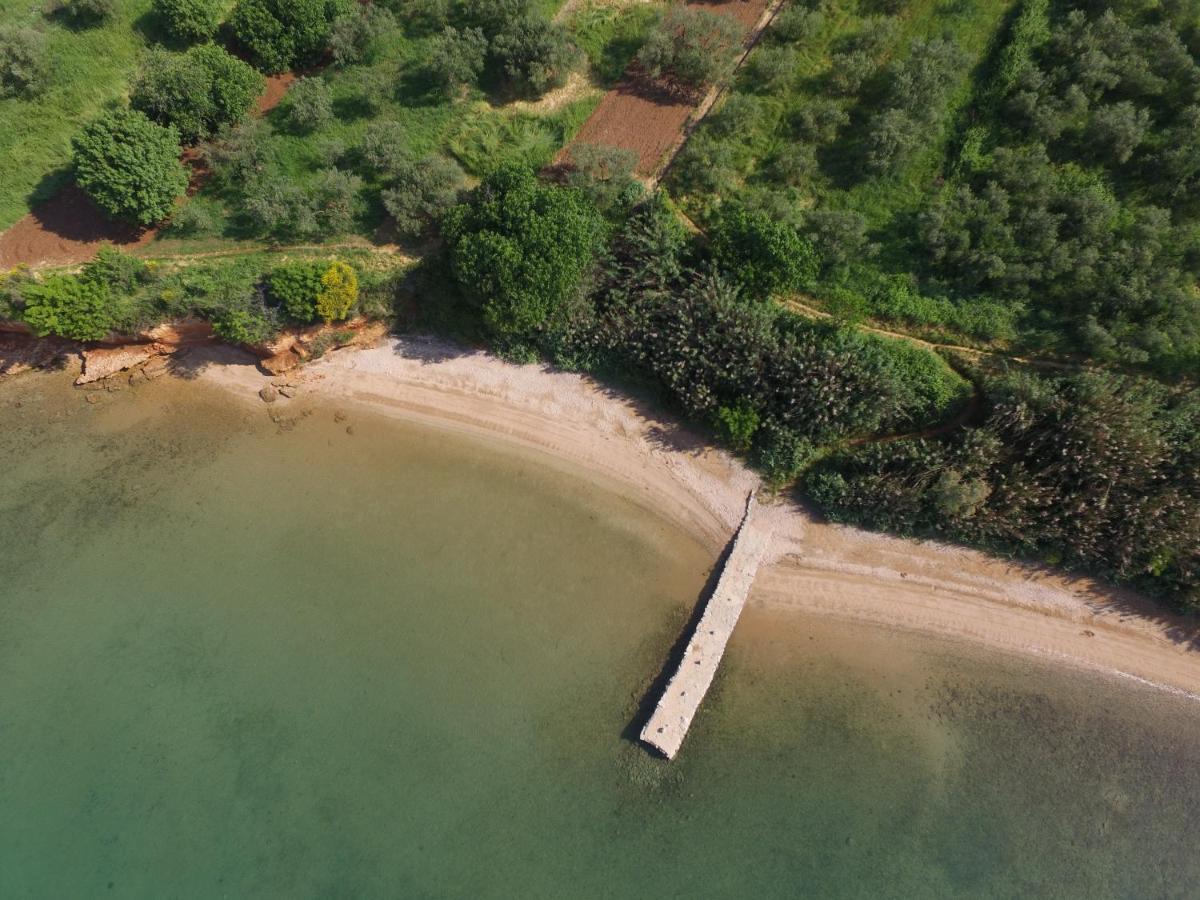 Mobile Homes Kamp Maslina, Biograd Na Moru Εξωτερικό φωτογραφία
